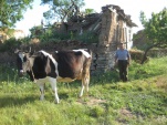 Mesut İLHAN.Rahmetli Beşer İLHAN`ın evi önü-16.5.2010