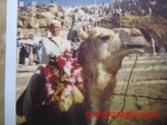 Rahmetli Nazım Selvi.1997